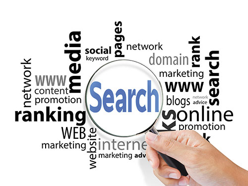 Buzzin Search & Keyword Ranking
